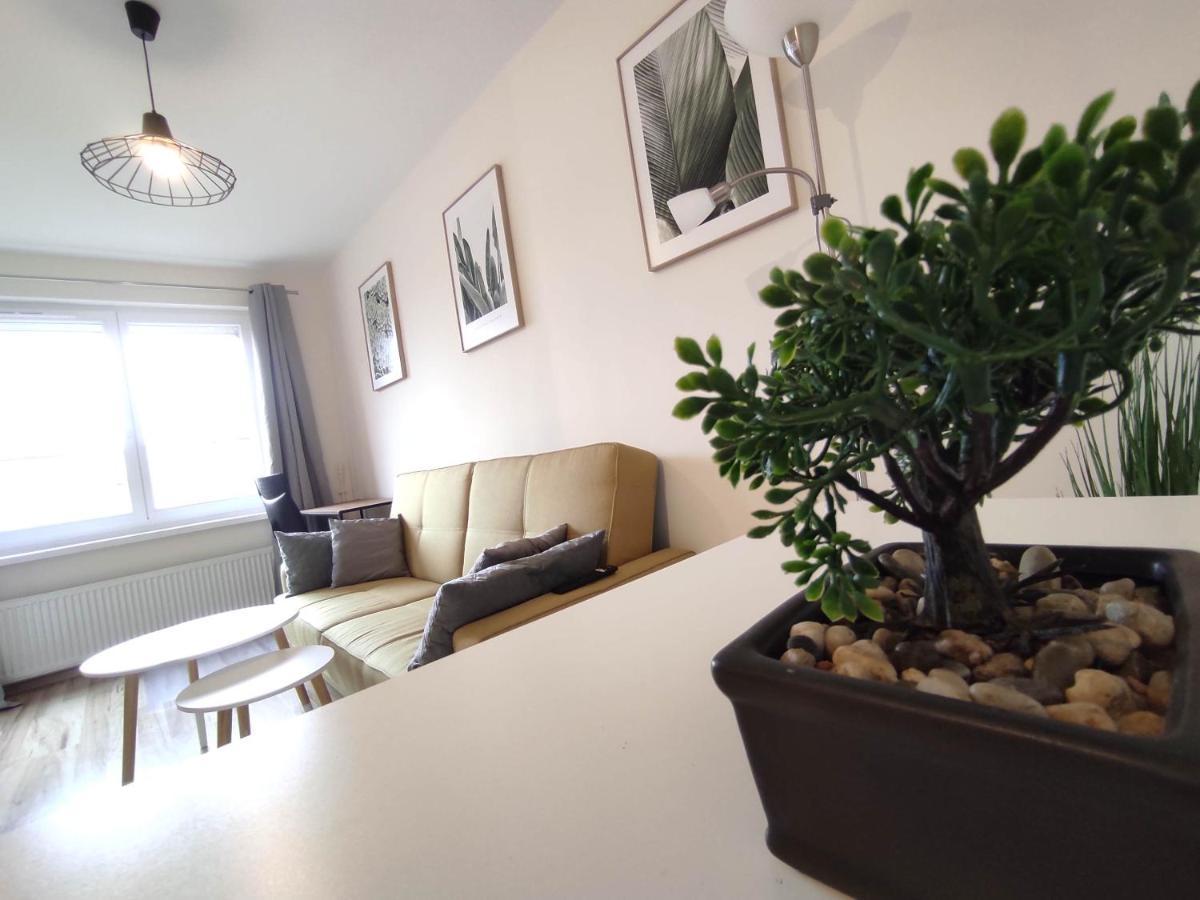 ***Casablanca Apartament*** - 40M² ✓ Rybnik  Exterior photo